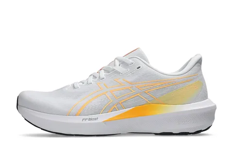 Asics Gt-1000 15